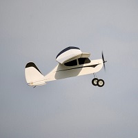 IMG_0410__46241 (1)